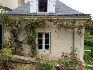 Taille de pierre à Saint-Cyr-sur-Loire (37)